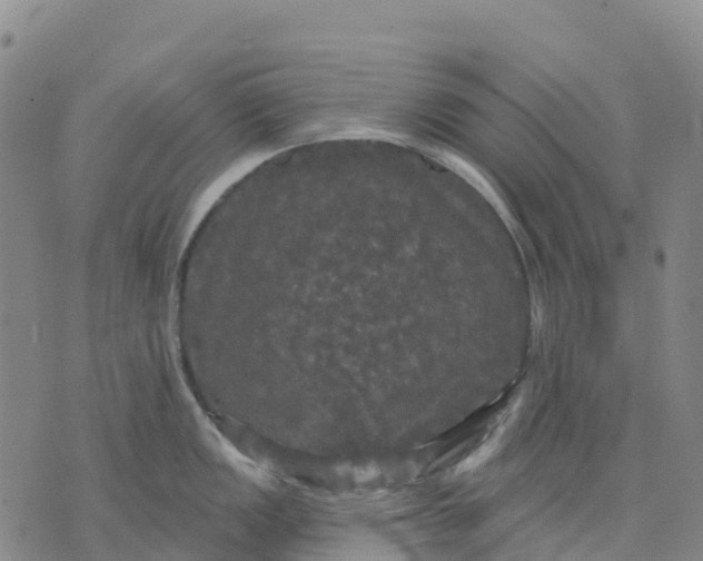 X0000070341149200606301734