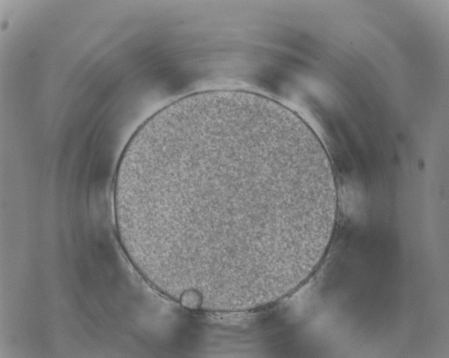 X0000070341150200606301734