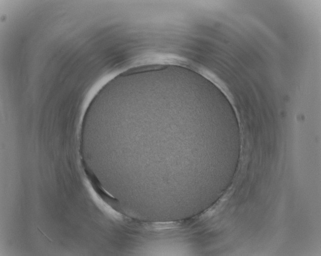 X0000070341152200606301734