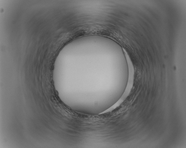 X0000070341153200606301734