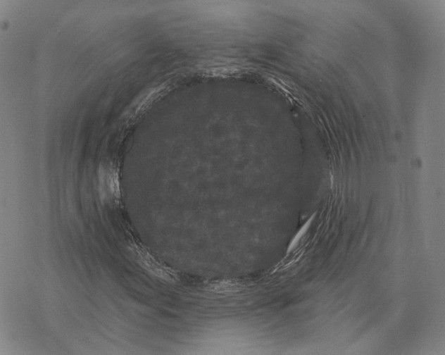 X0000070341155200606301734