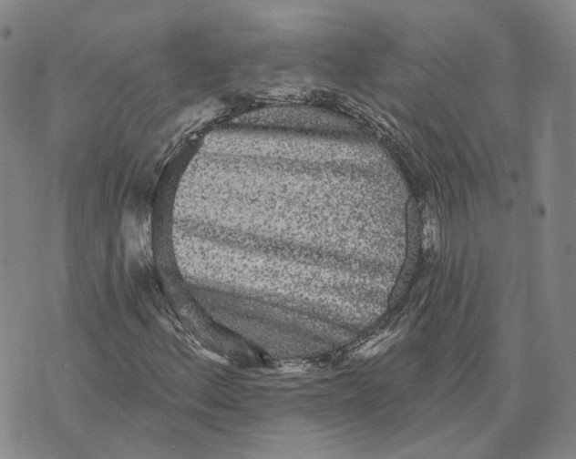 X0000070341156200606301733