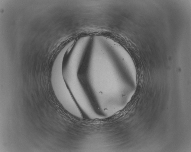 X0000070341157200606301733