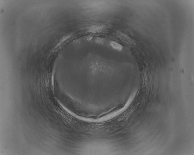 X0000070341158200606301733