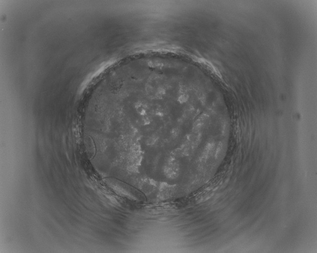 X0000070341159200606301733