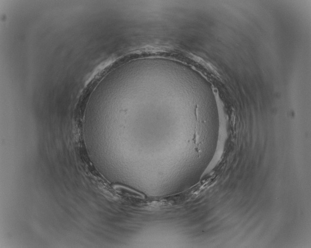 X0000070341160200606301733