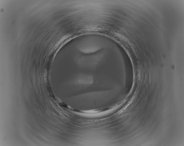 X0000070341161200606301733