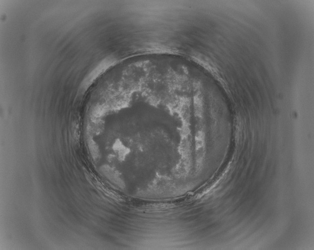 X0000070341163200606301733