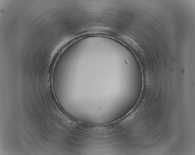 X0000070341164200606301733