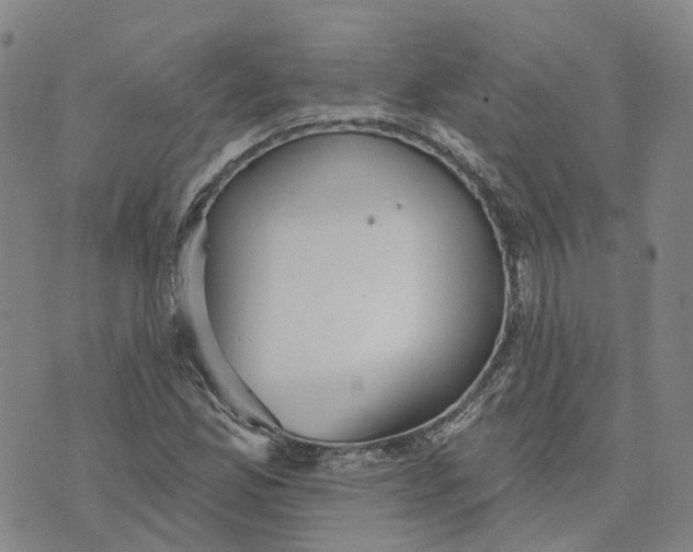 X0000070341165200606301733