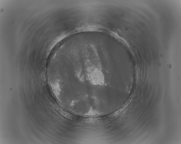 X0000070341166200606301733