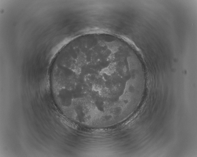 X0000070341167200606301733