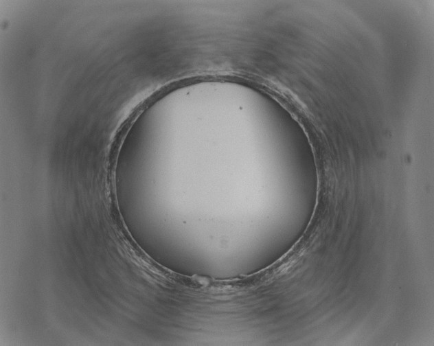 X0000070341168200606301733