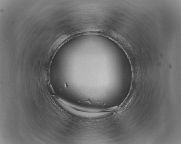 X0000070341169200606301733