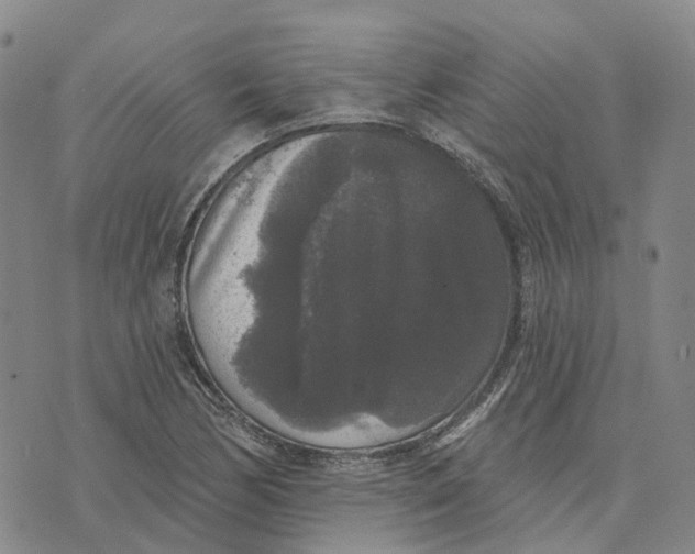 X0000070341170200606301733