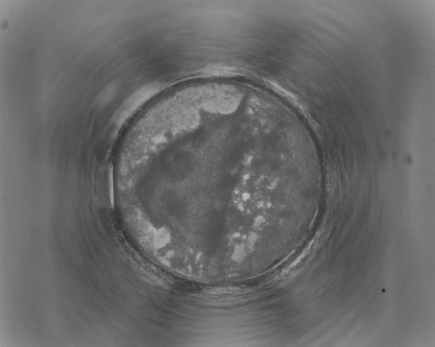 X0000070341171200606301733