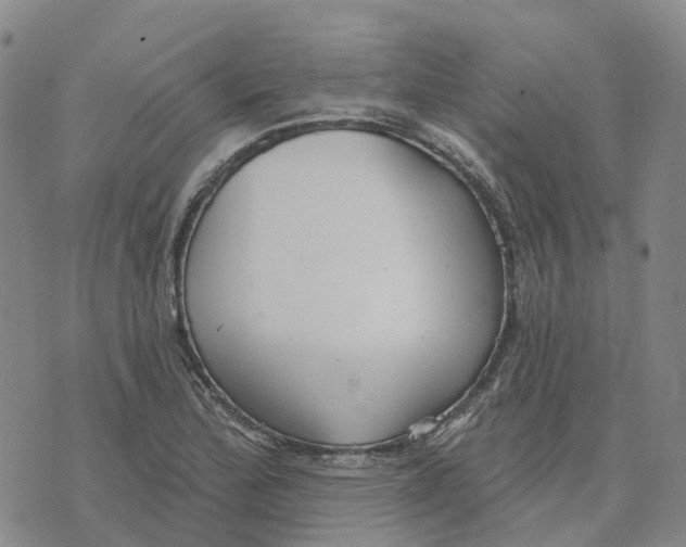 X0000070341172200606301733