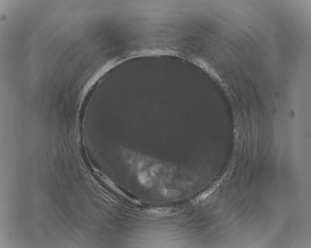 X0000070341173200606301733