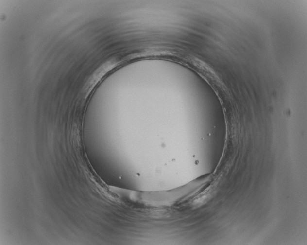 X0000070341177200606301733