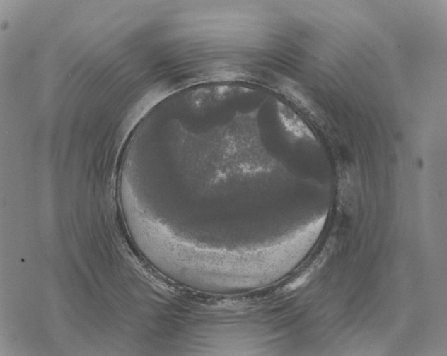 X0000070341178200606301733