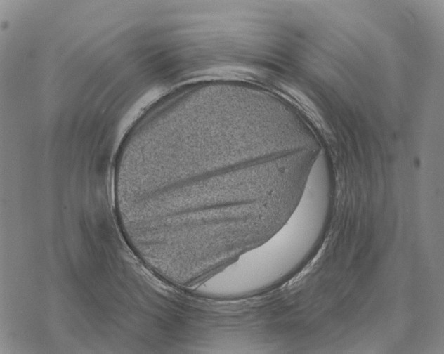 X0000070341180200606301733