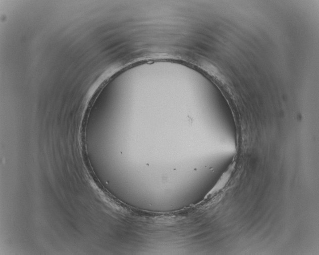 X0000070341181200606301733