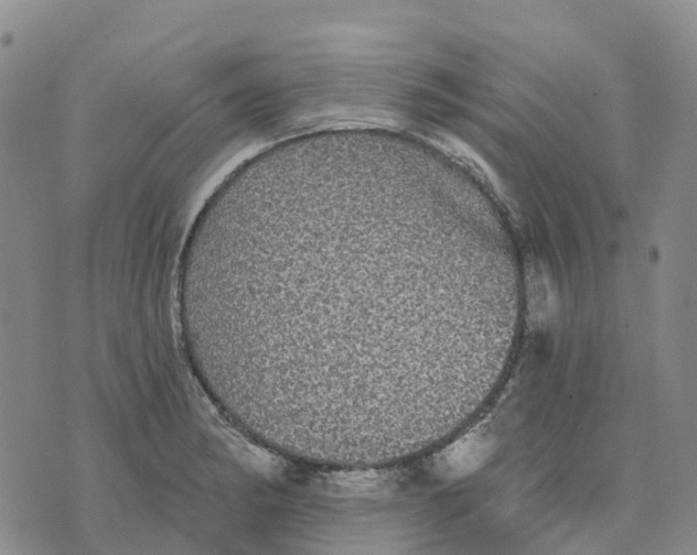 X0000070341182200606301733