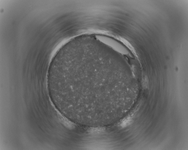 X0000070341183200606301733