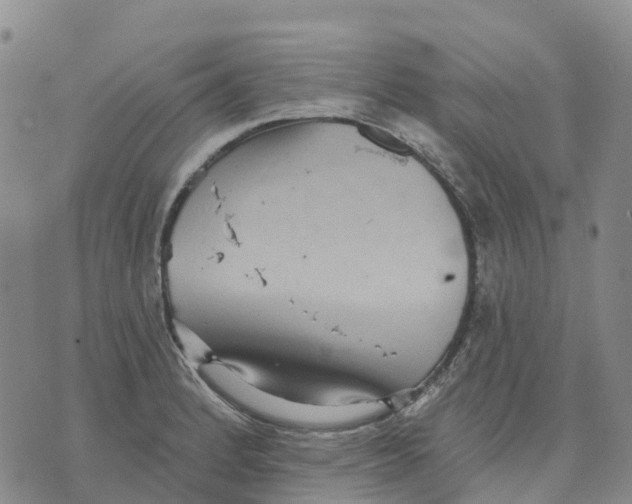 X0000070341184200606301733