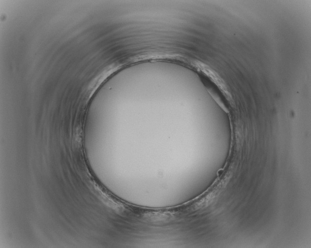 X0000070341185200606301733