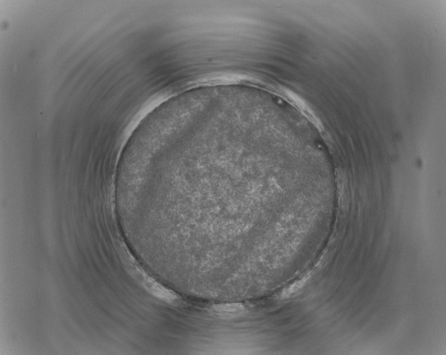 X0000070341186200606301733