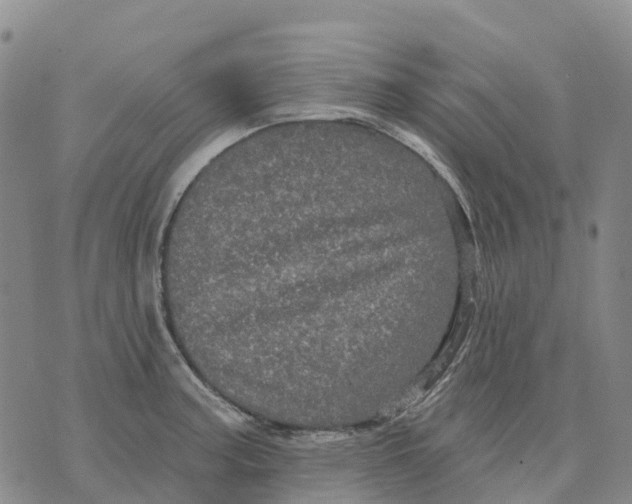 X0000070341187200606301733