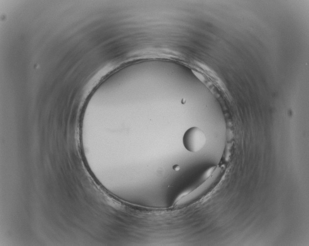 X0000070341188200606301733