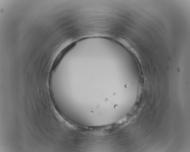 X0000070341189200606301733