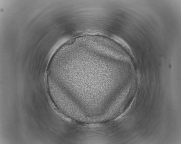 X0000070341190200606301733