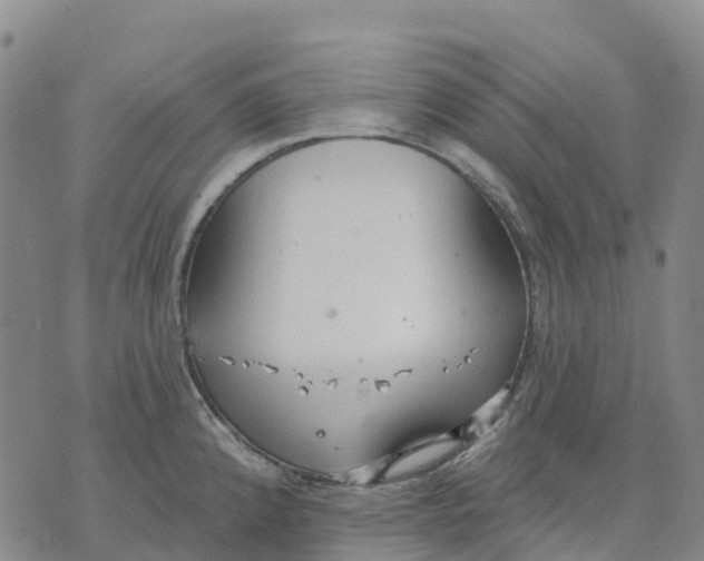 X0000070341192200606301733