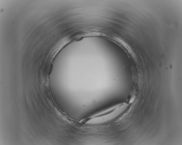 X0000070341193200606301733