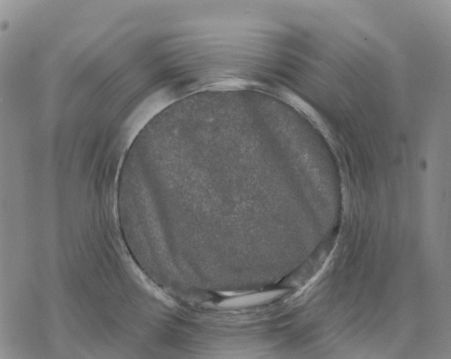 X0000070341194200606301733