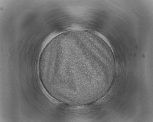 X0000070341195200606301733