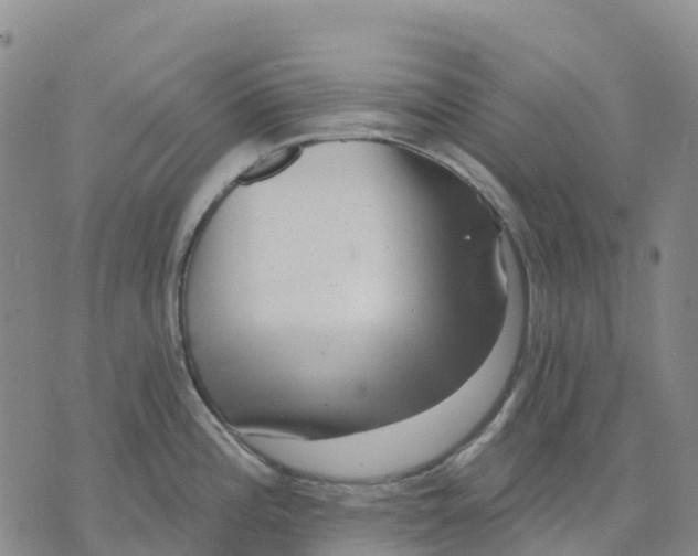 X0000070341196200606301733