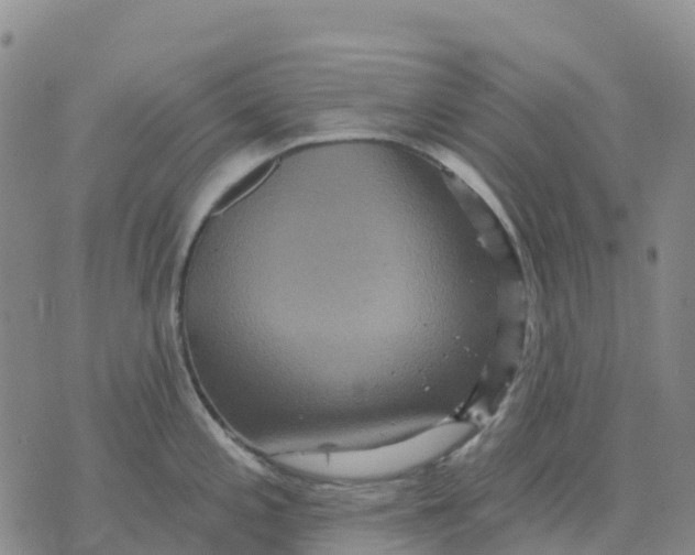 X0000070341197200606301733