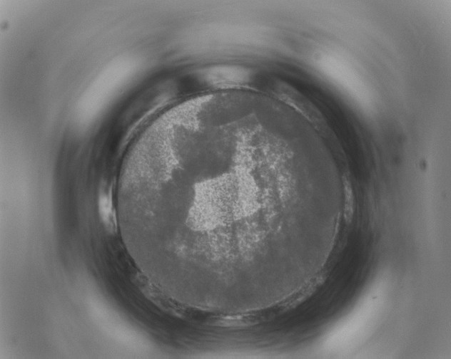 X0000070341198200606301733