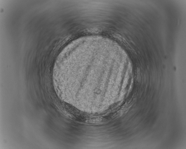 X0000070341201200606301732