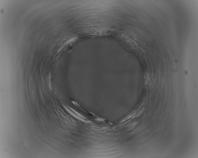 X0000070341202200606301732