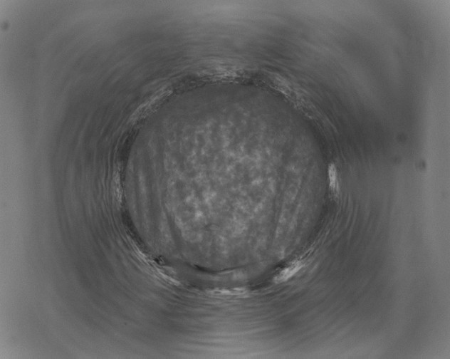 X0000070341203200606301732