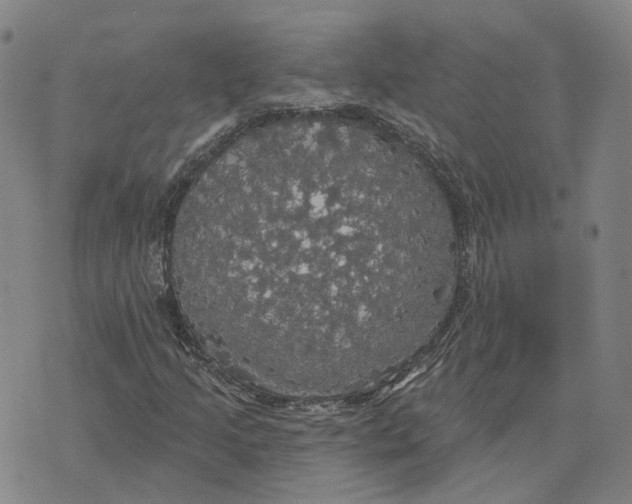 X0000070341205200606301732