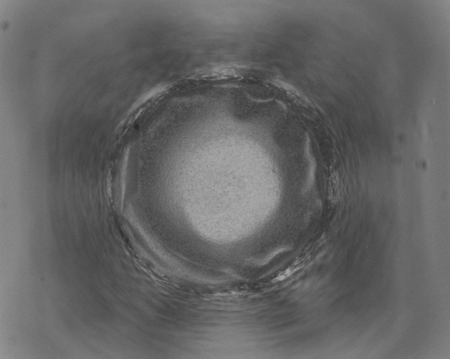 X0000070341206200606301732