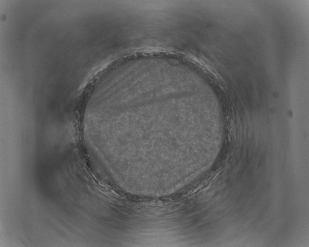 X0000070341207200606301732