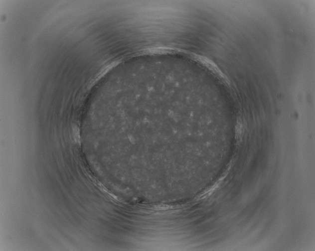 X0000070341209200606301732