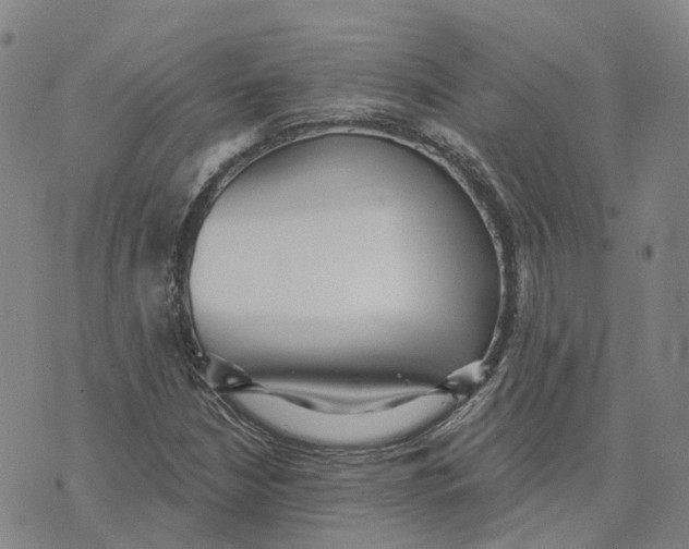 X0000070341210200606301732